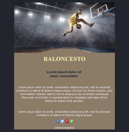 Basketball-basic-03 (ES)