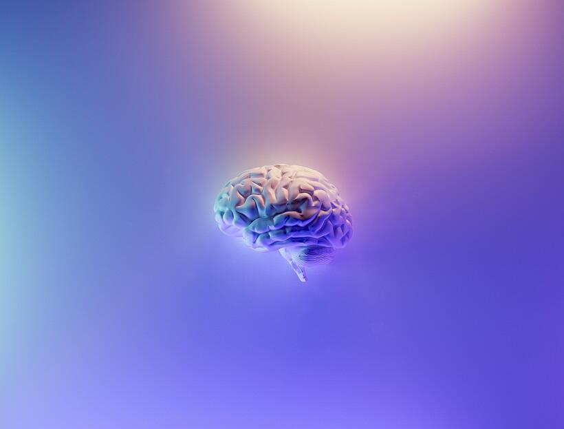 Como Usar el Neuromarketing en tu Próxima Campaña de Email Marketing