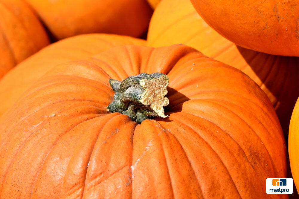 Halloween 2018: para que tu email no sea un fantasma.