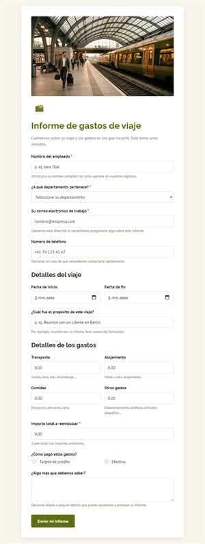 Informe de Gastos de Viaje