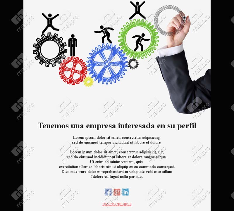 Talento y oportunidades