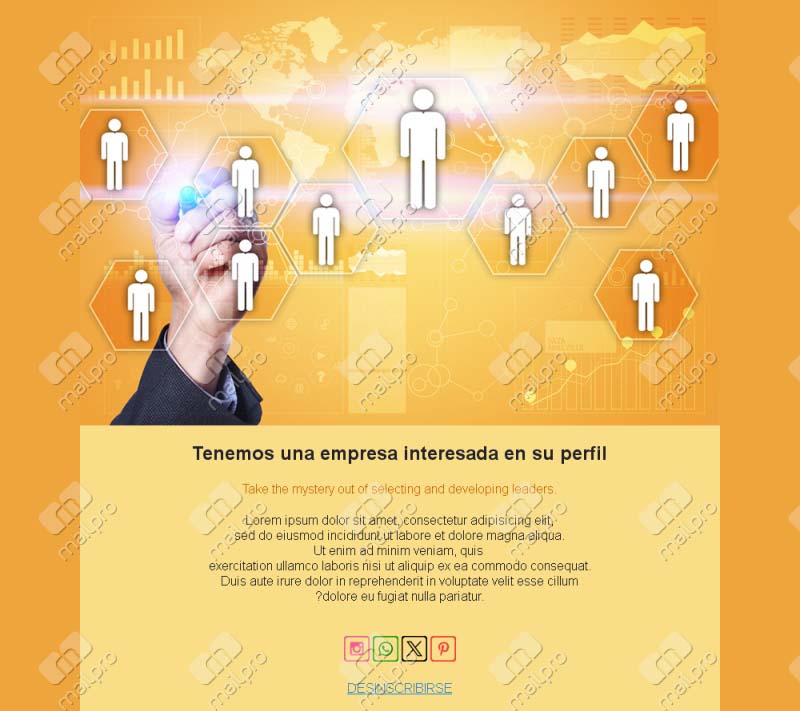 Reclutamiento profesional