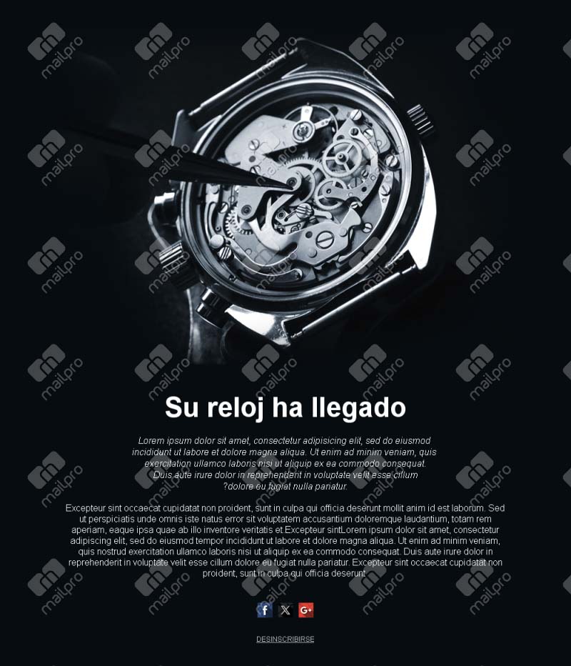 Lanzamientos y colecciones de relojes