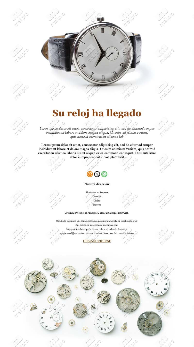Tendencias y novedades relojeras