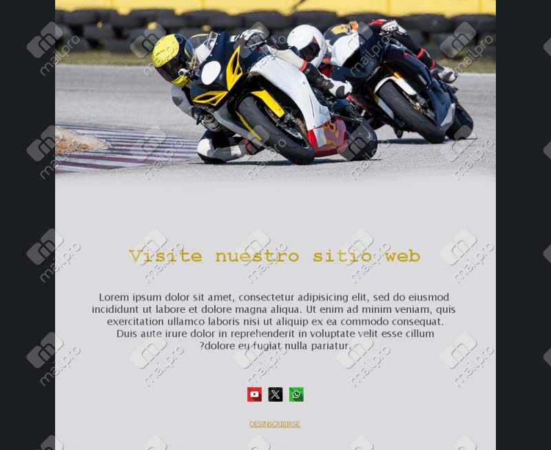 Racing Excitement
