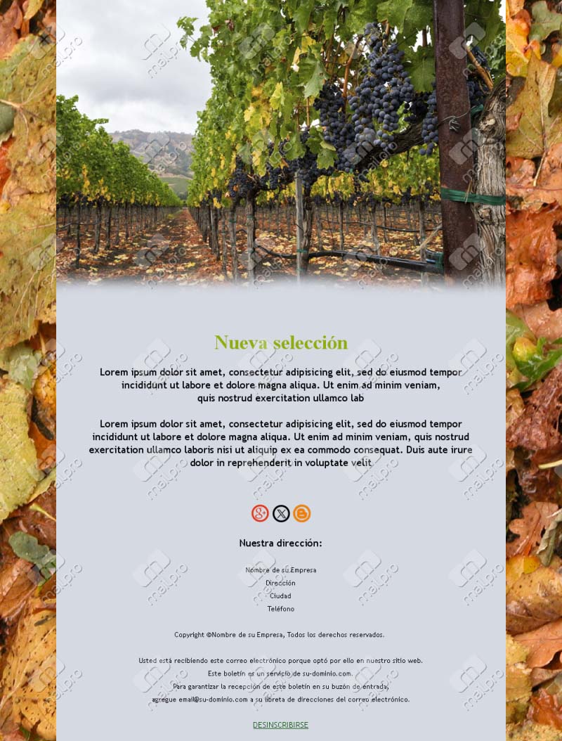 Plantillas elegantes para bodegas