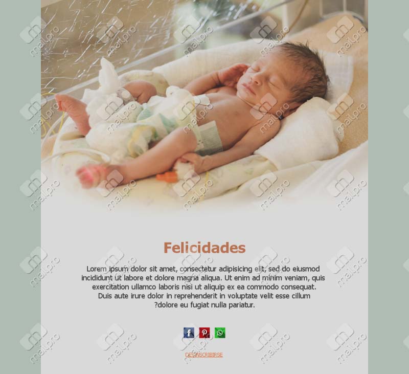 Recién Nacido