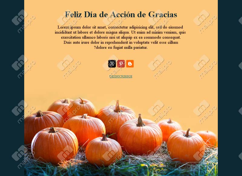 Acción de Gracias