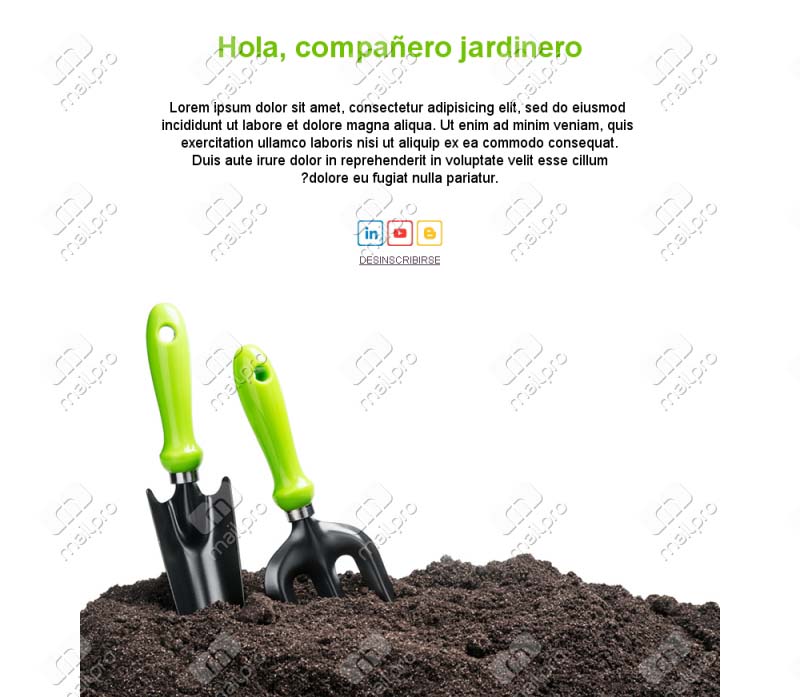 Gardening Tips