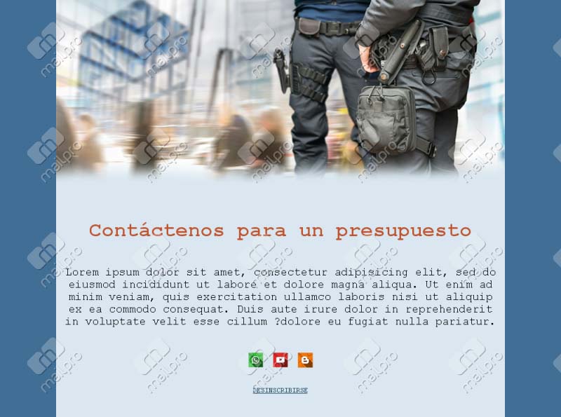 Empresas de Seguridad