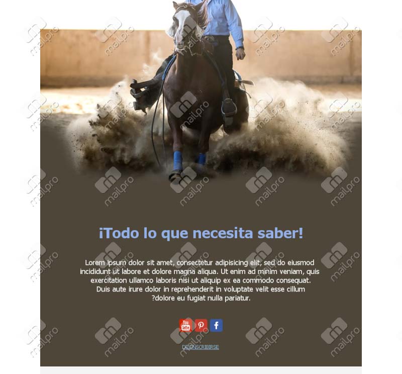 Equitación Elegante
