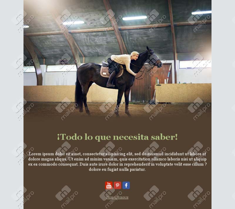 Equitación Elegante