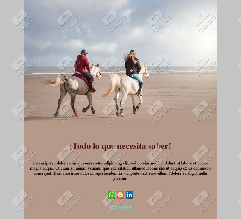 Equitación Elegante