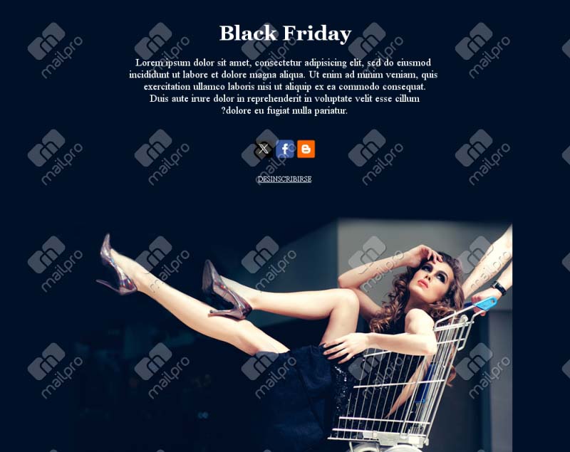 Black Friday Imperdible
