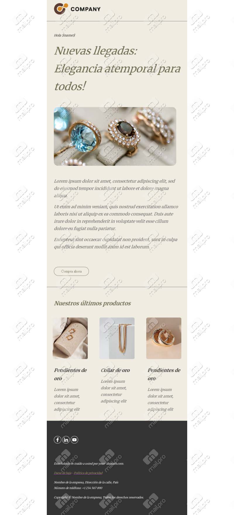 Plantilla de Joyería Premium