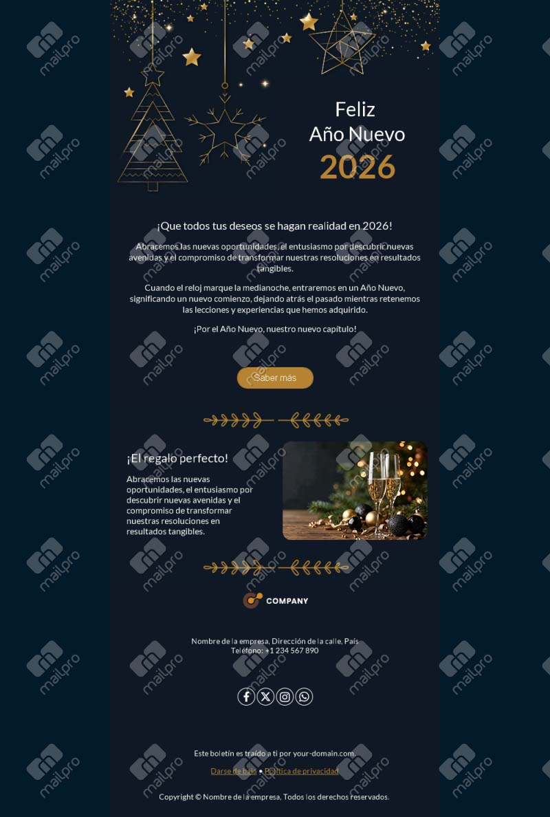 Email Año Nuevo