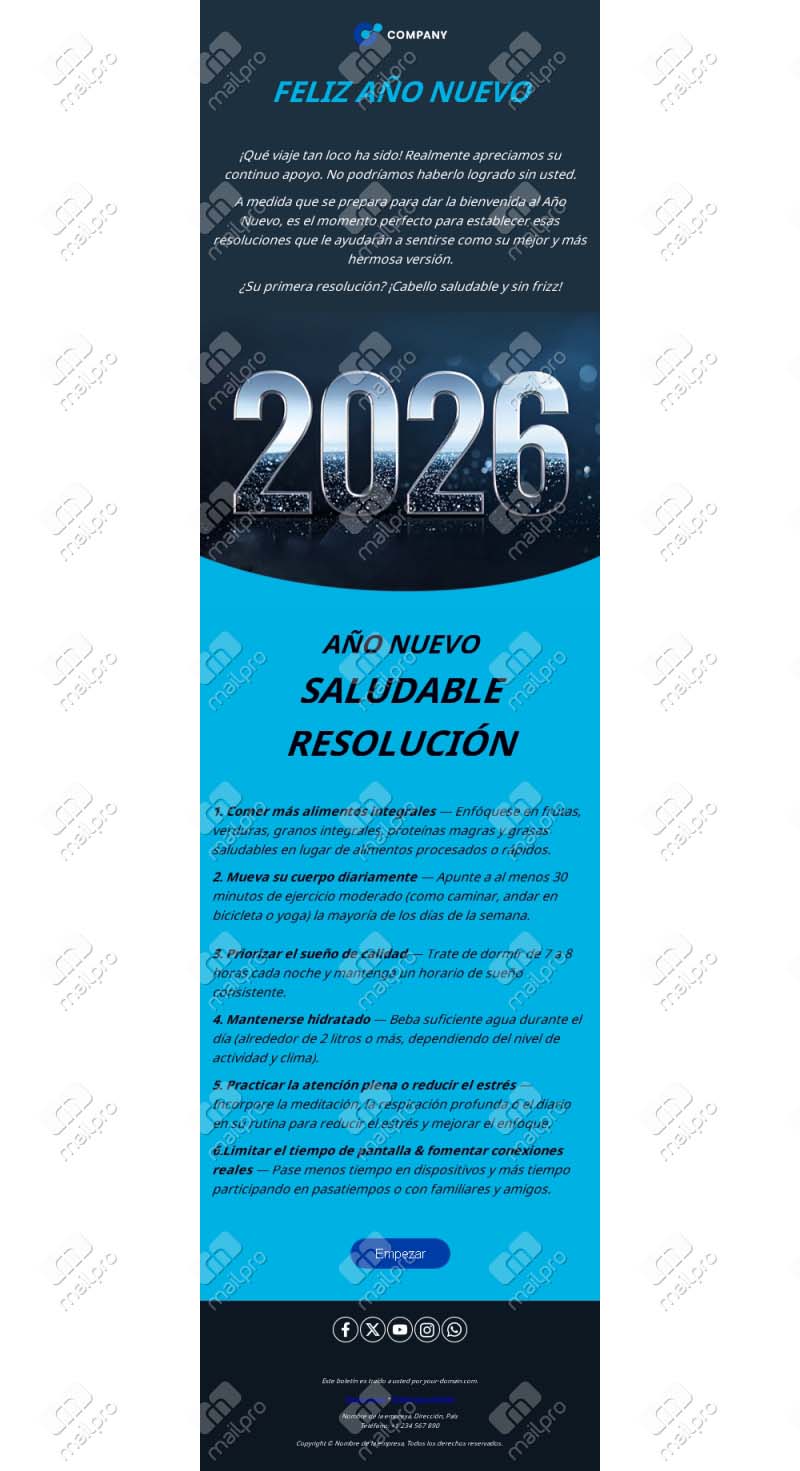 Mensaje Profesional Email