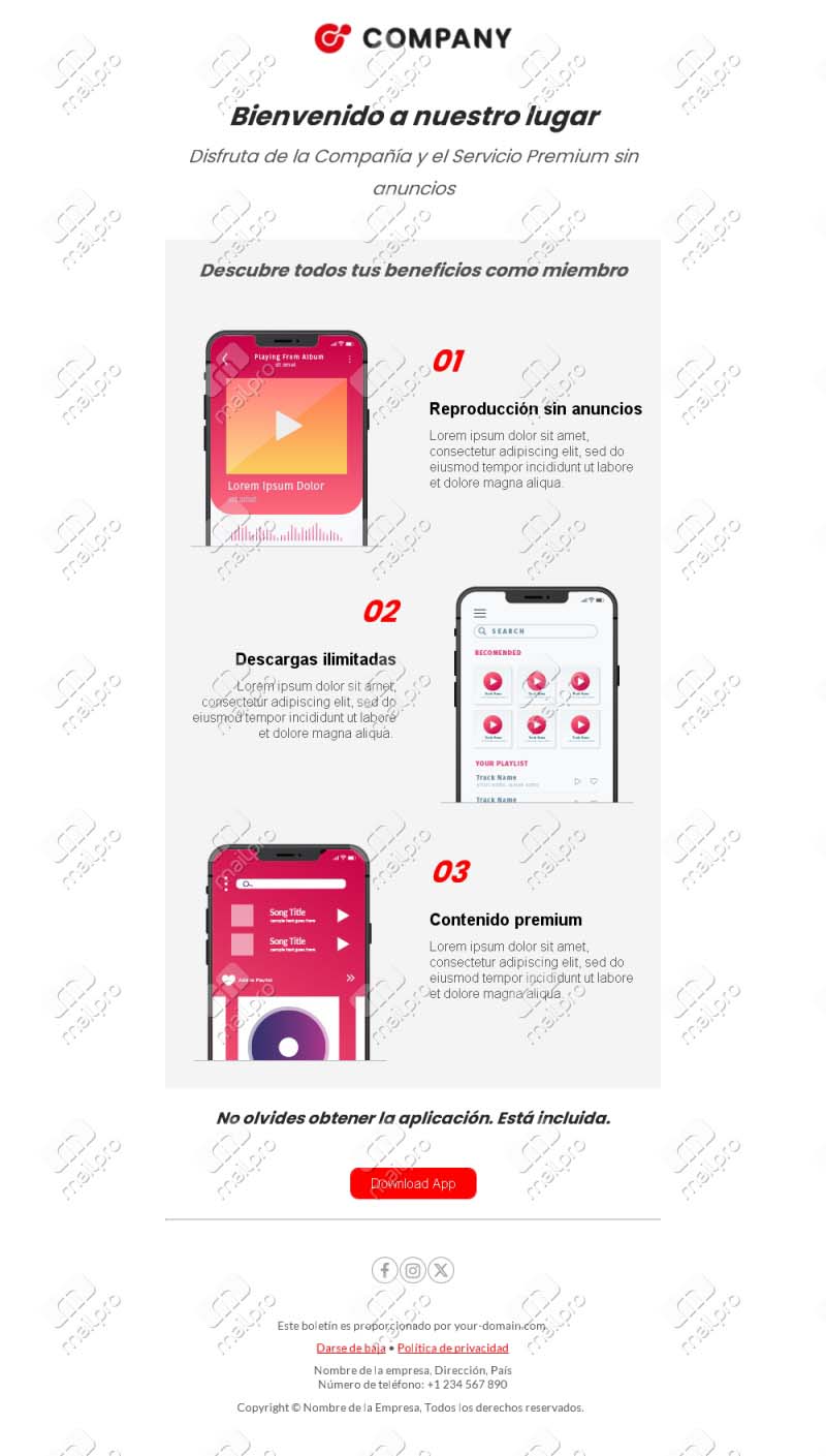 Email de Bienvenida Moderna