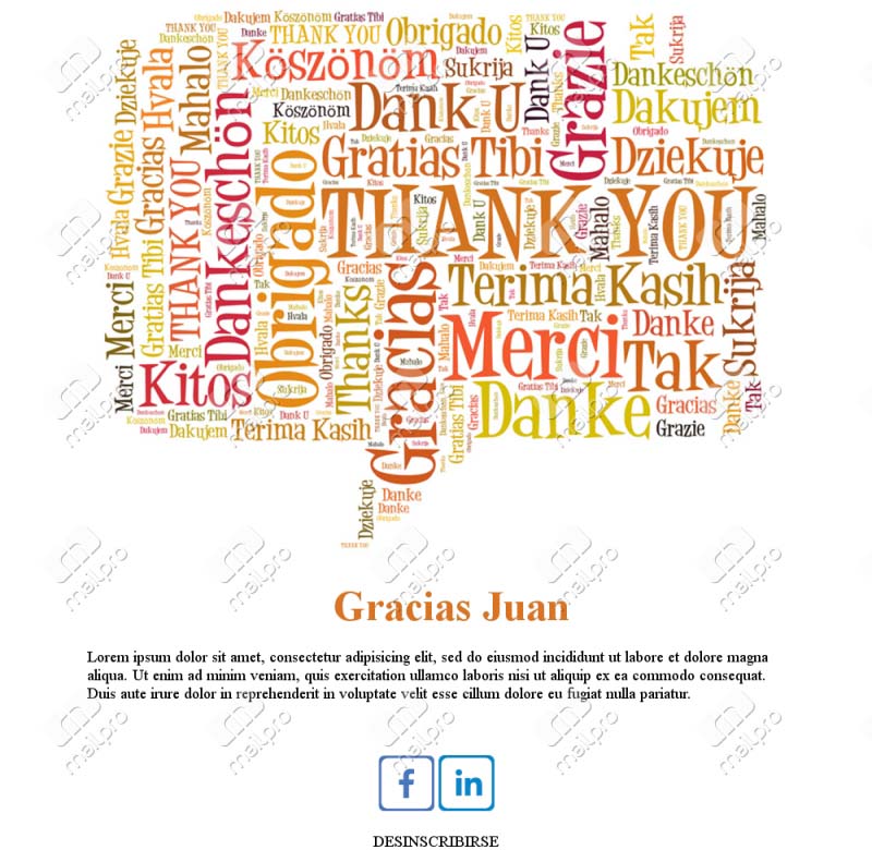 Plantilla Email Gracias Compra