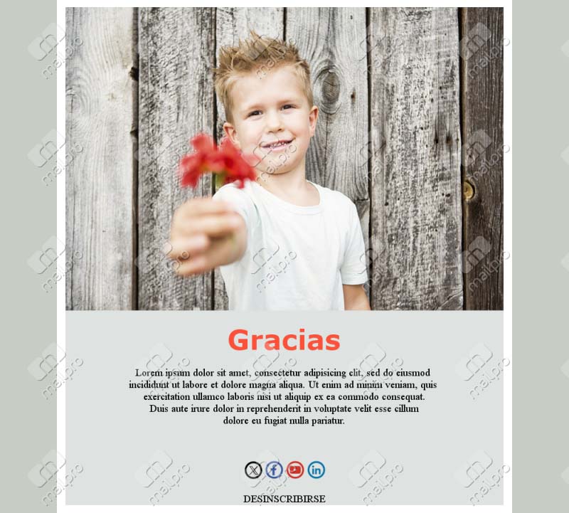 Plantilla Email Agradecimiento Cliente