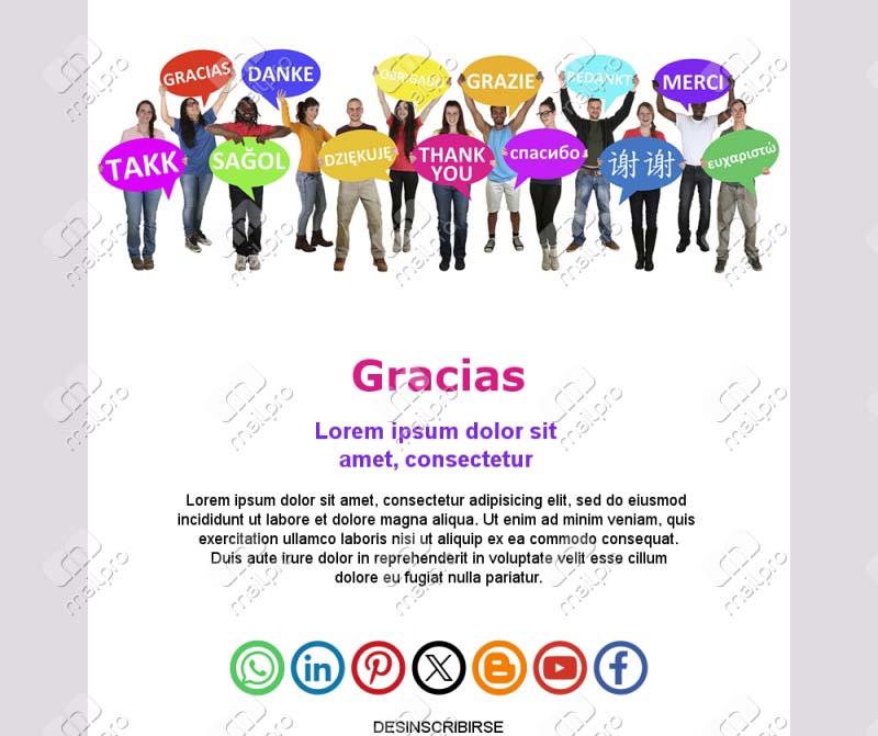 Plantilla de Email de Gracias