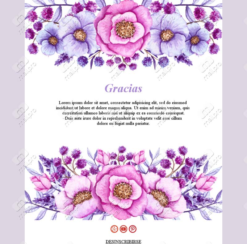 Gracias por estar con nosotros