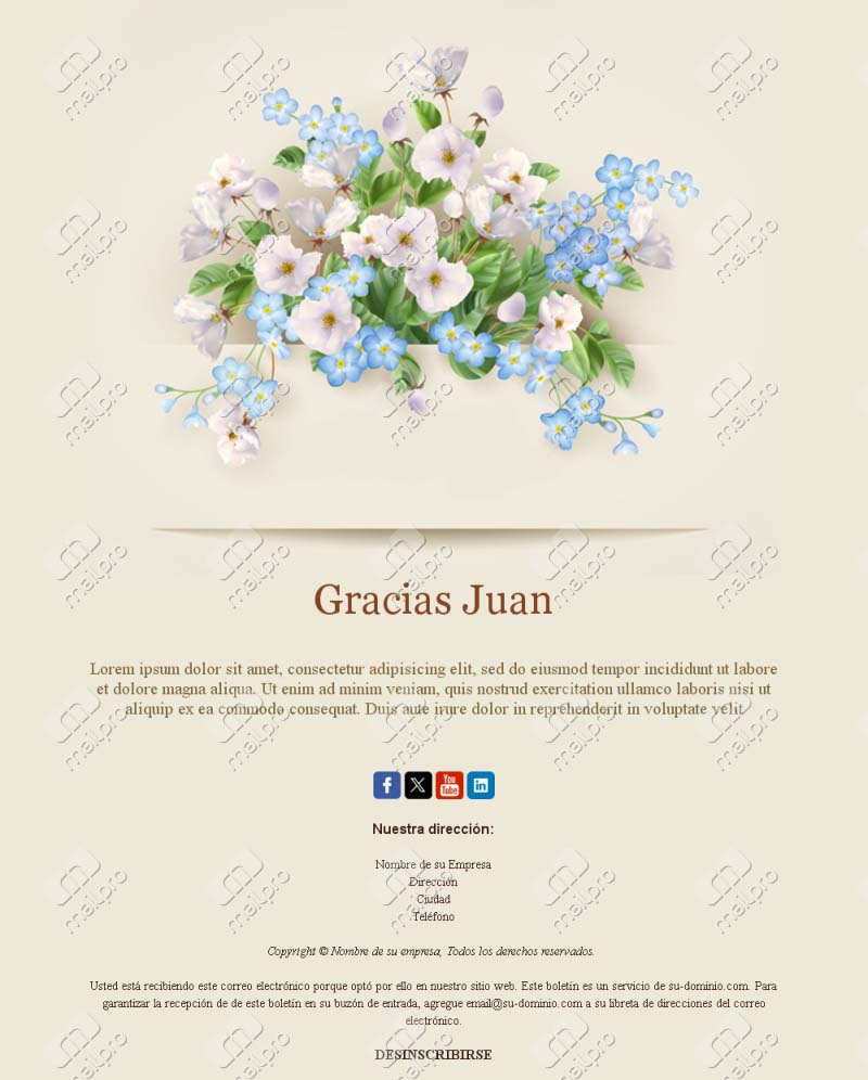 Plantilla Email Gracias Suscribirse