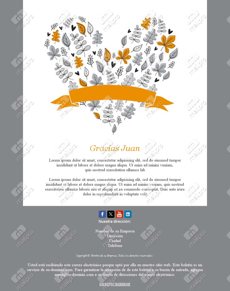 Plantilla Correo Agradecimiento