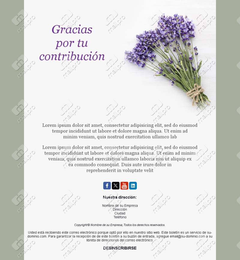 Plantilla Email Gracias Equipo