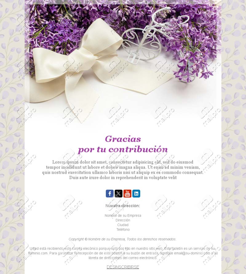 Plantilla Email Gracias Apoyo