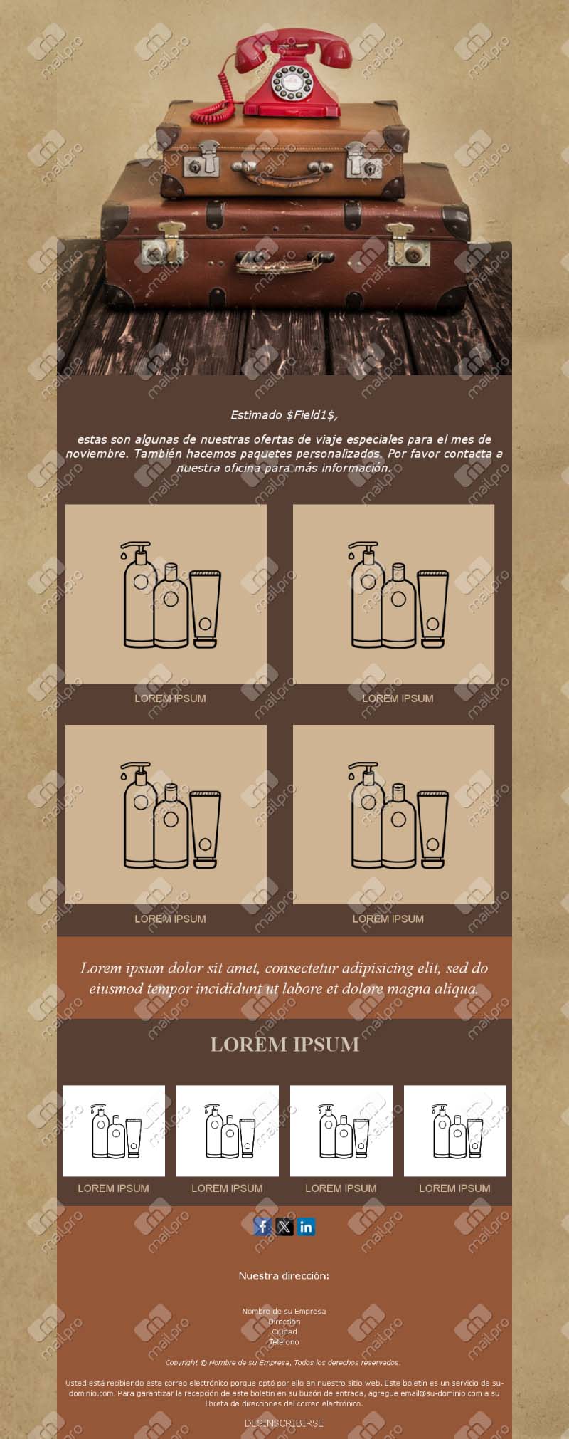 Plantilla Email Paquetes Familiares