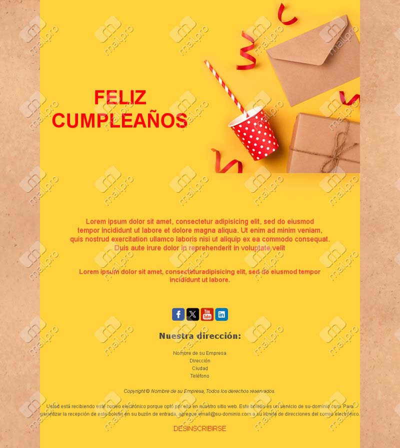 Colorful Birthday Email