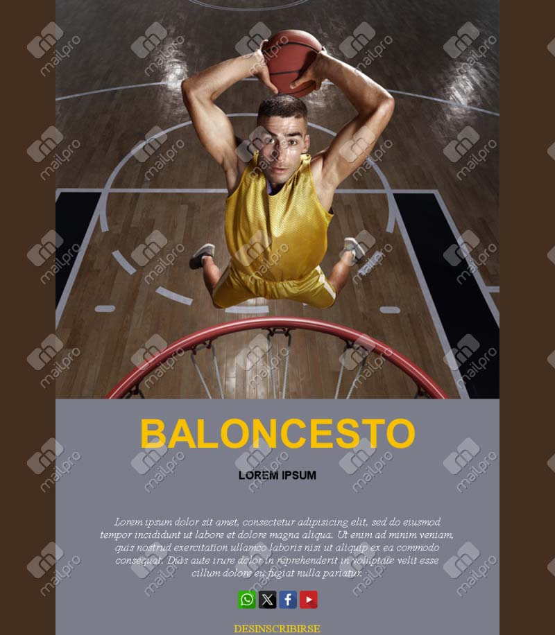 Basketball Fans Newsletter