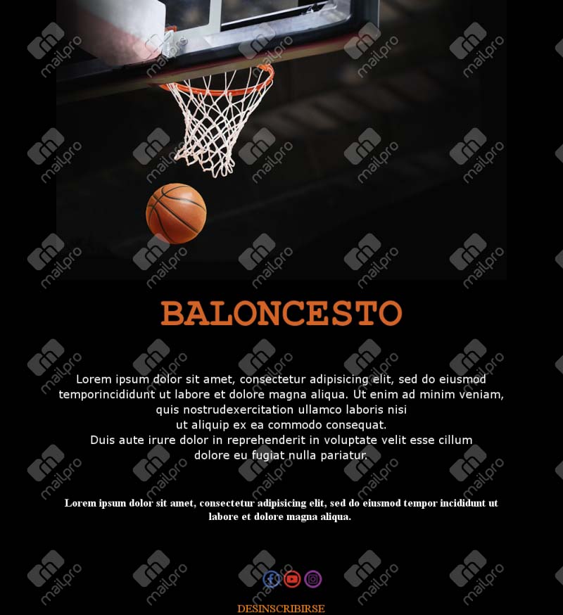 Basketball Fans Email