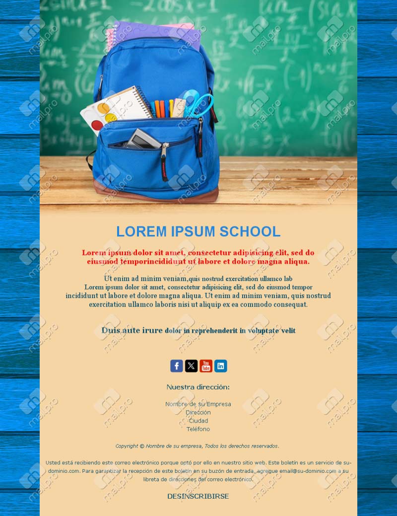 Correo Boletín Escolar Moderno