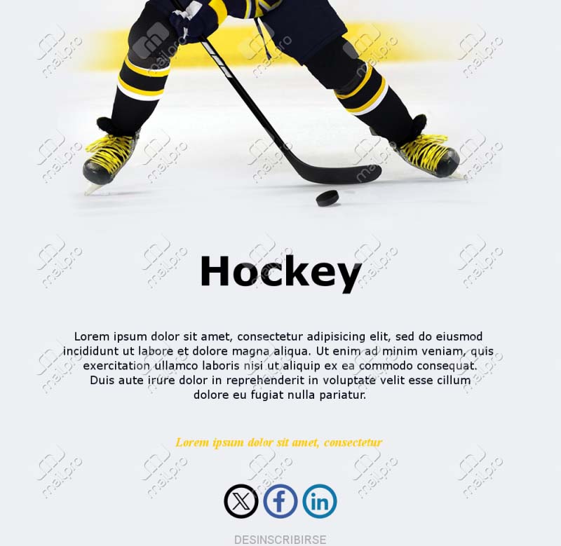 Correo Boletín Hockey