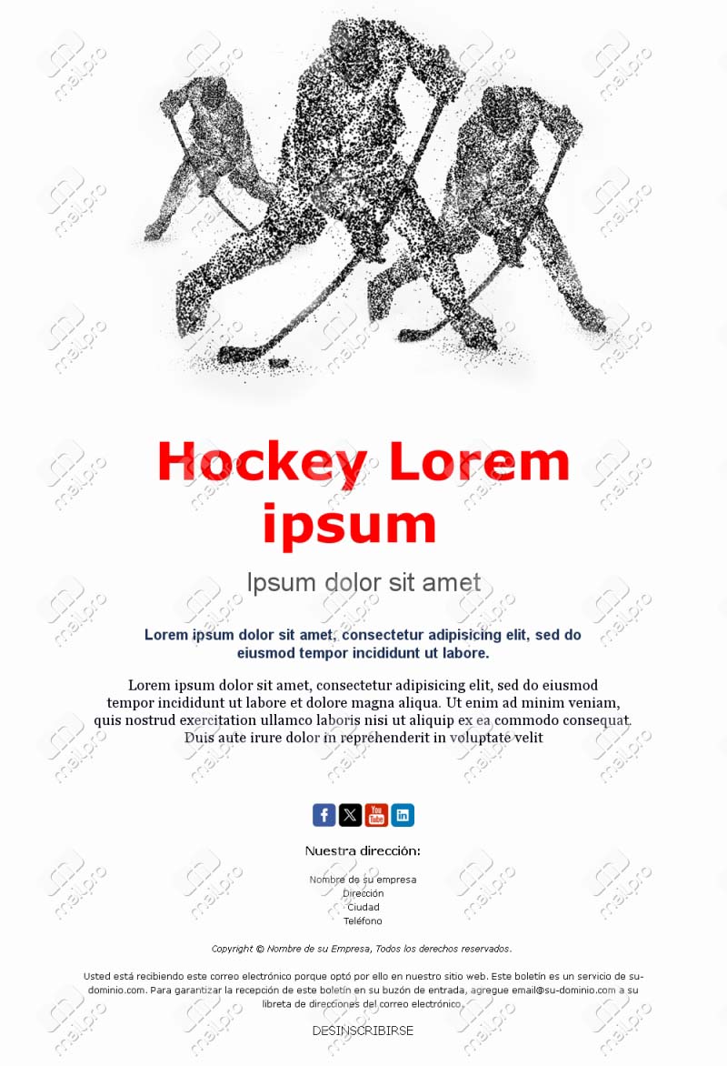 Correo Hockey Internacional