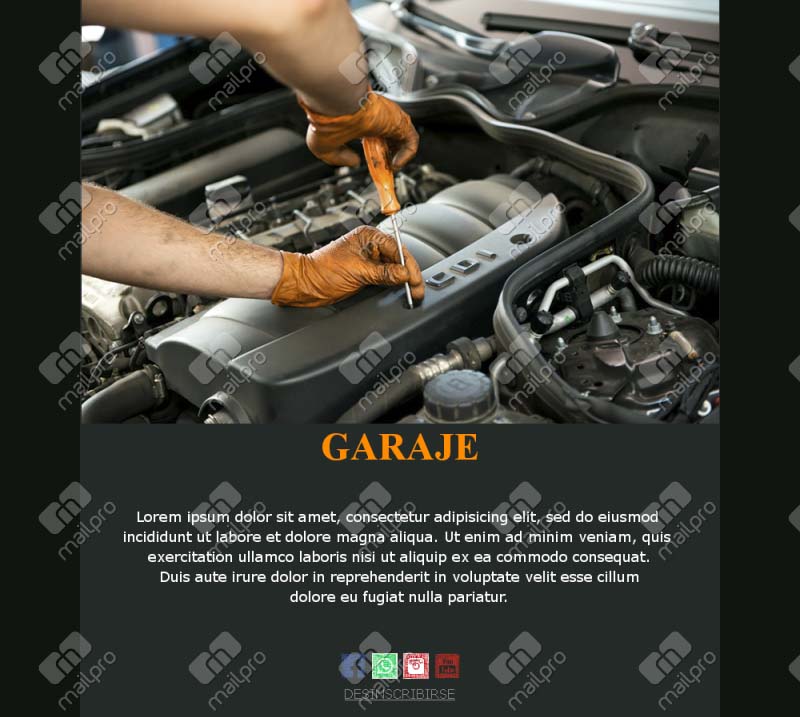 Car Service Email
