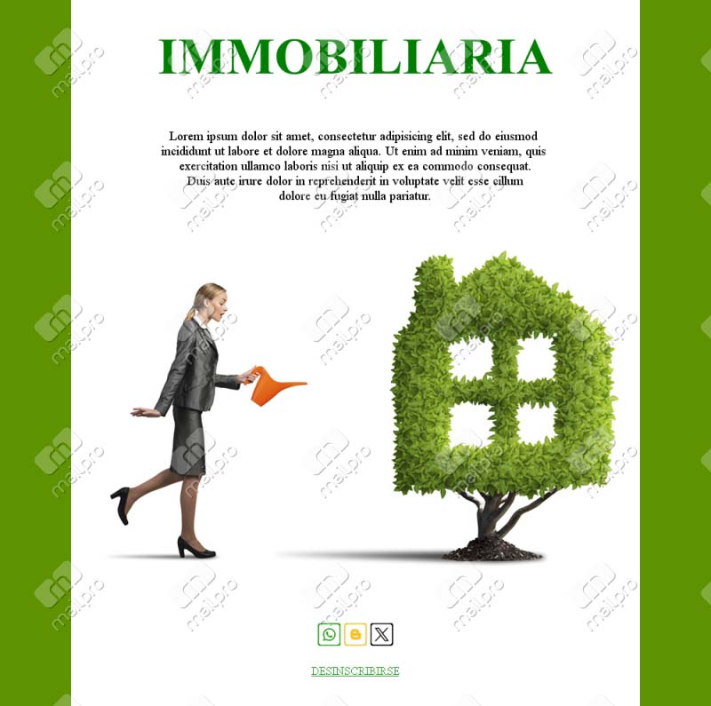 Correo Agencia Inmobiliaria