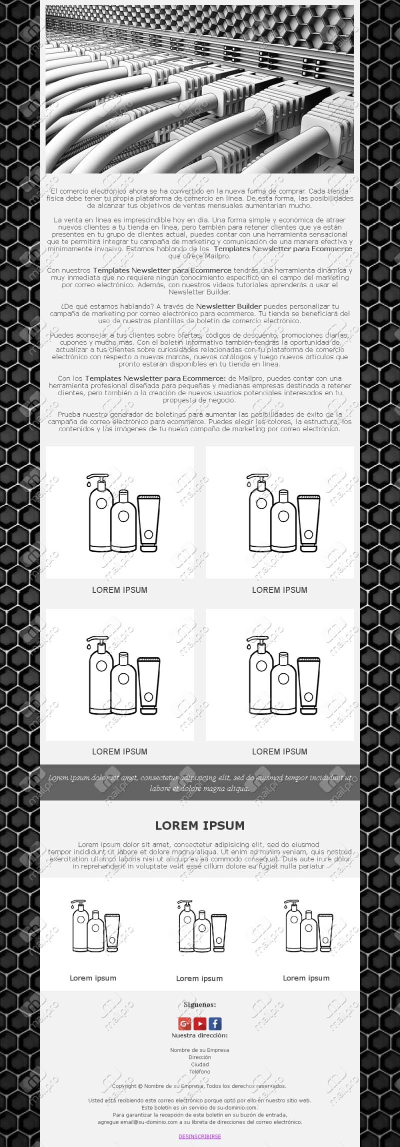 IT Company Newsletter