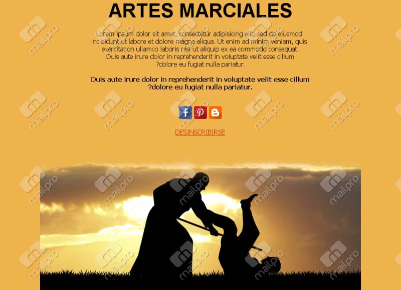 Artes Marciales Pro