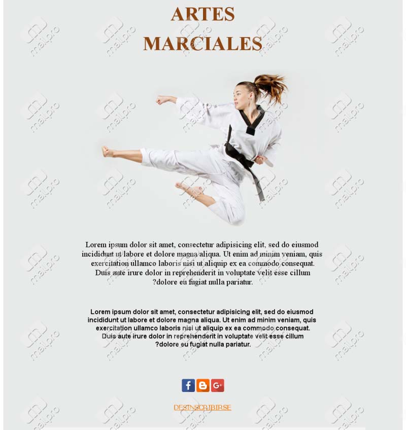 Emails de Artes Marciales