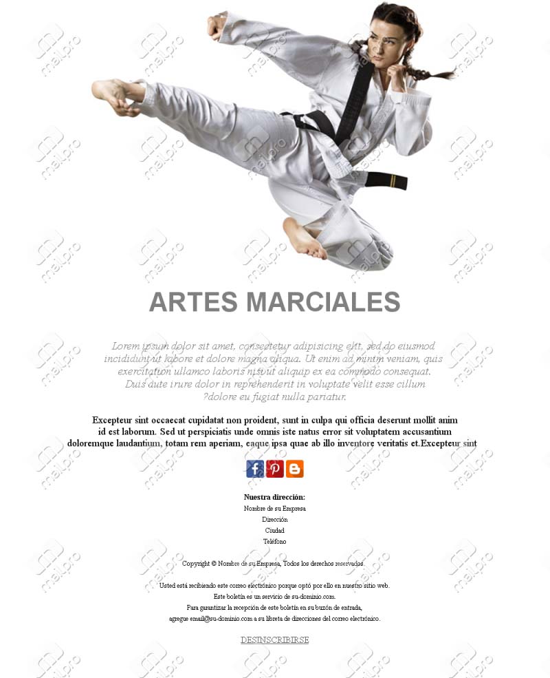 Artes Marciales Inspiración