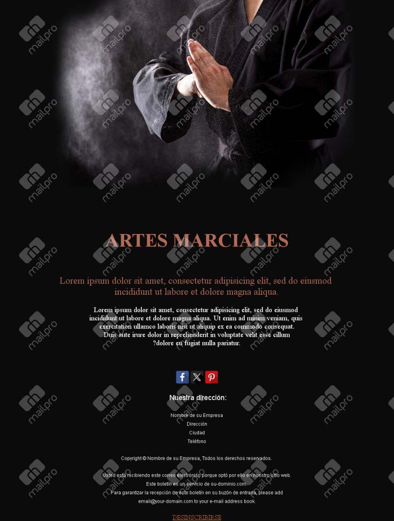 Acción Marcial