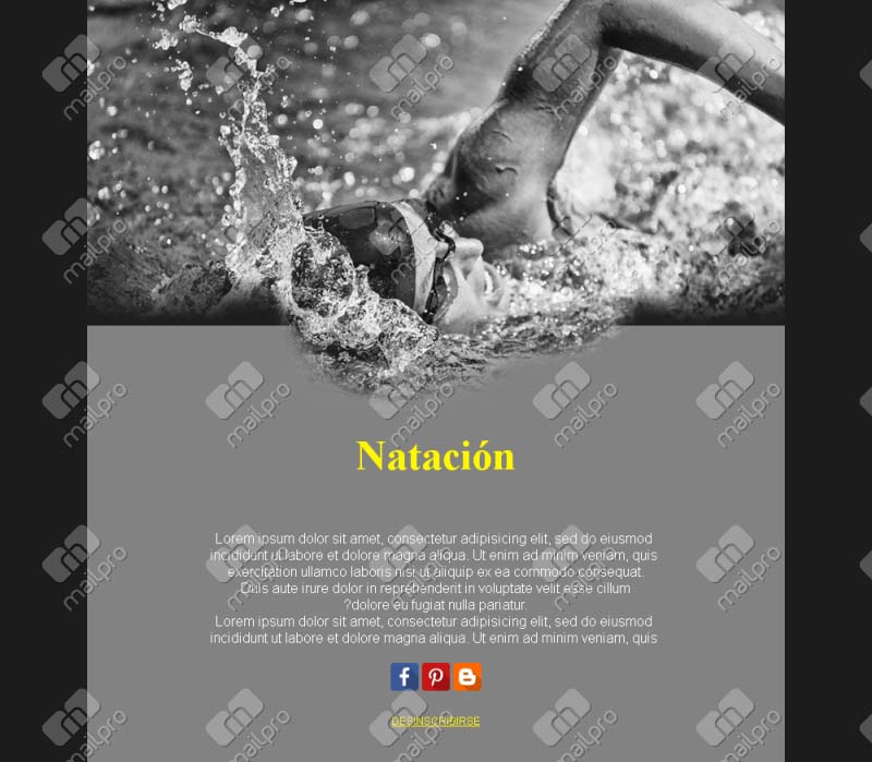 Club de Natación News