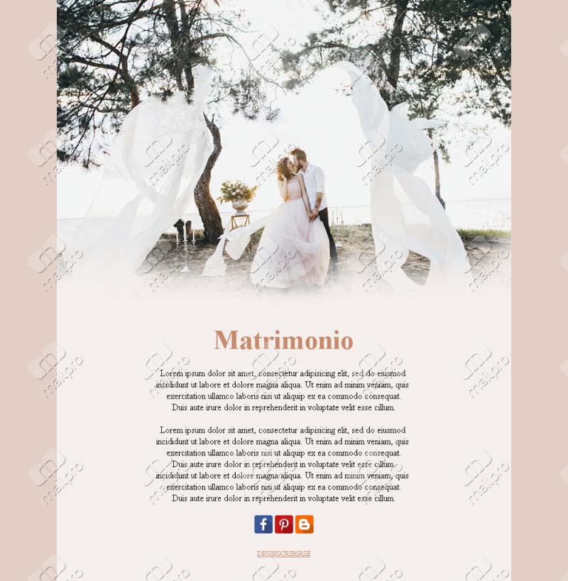Emails de Boda Elegantes