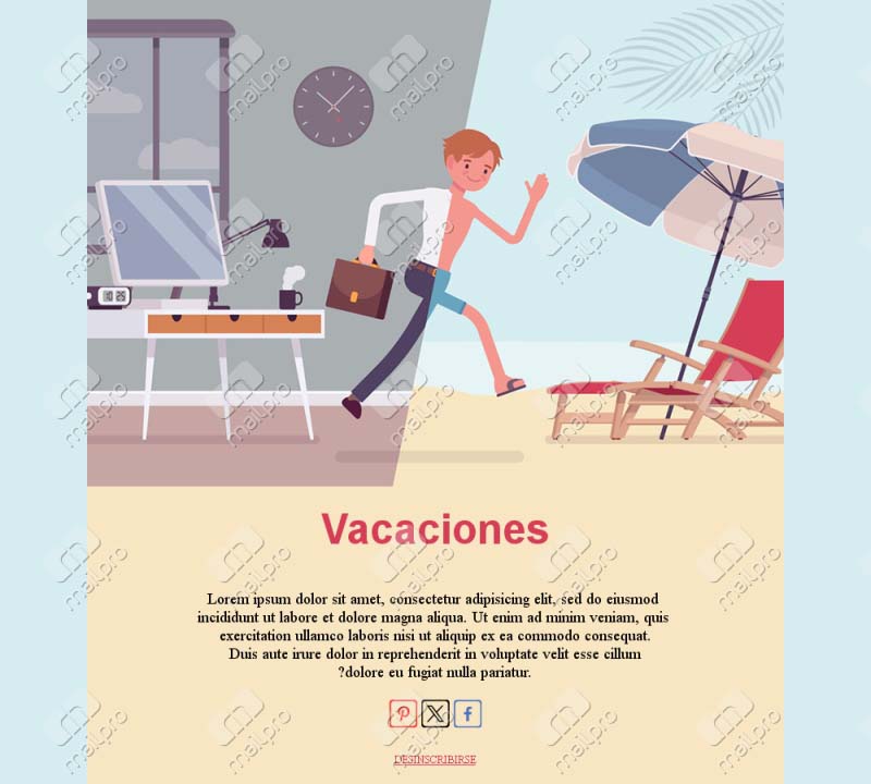 Newsletter Festivo
