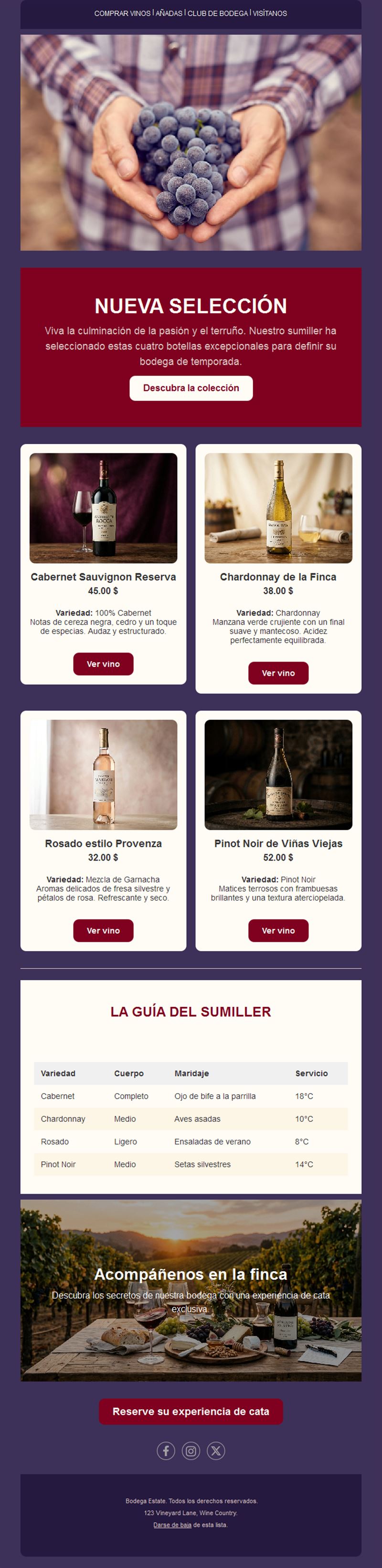 Newsletter burdeos de selección de vinos