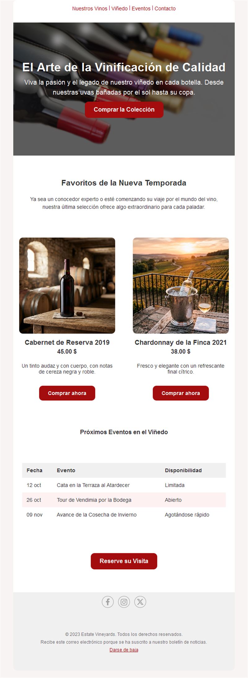 Newsletter de bodega con eventos en el viñedo