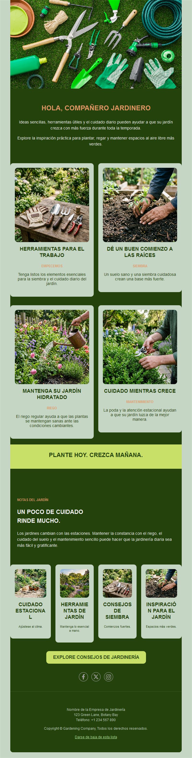 Newsletter guía de cuidado del jardín